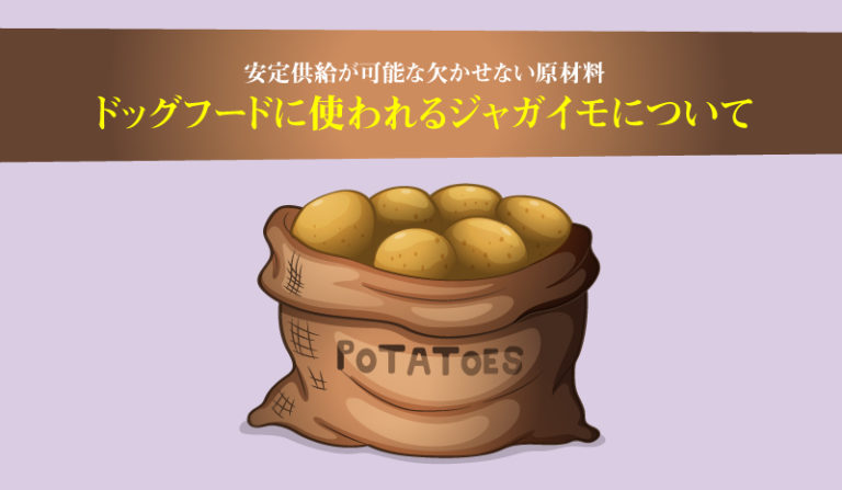 ドッグフードに使われるジャガイモについて。安定供給が可能な欠かせない原材料