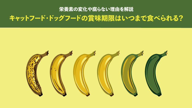 キャットフード・ドッグフードの賞味期限はいつまで食べられる？栄養素の変化や腐らない理由を解説