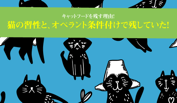 キャットフードを残す理由 猫の習性と オペラント条件付けで食べ残していた