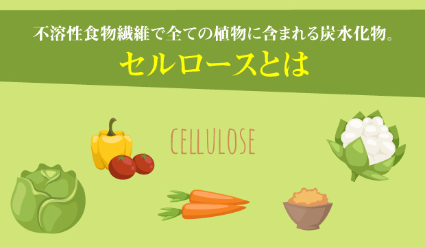 セルロースとは 不溶性食物繊維で全ての植物に含まれる炭水化物