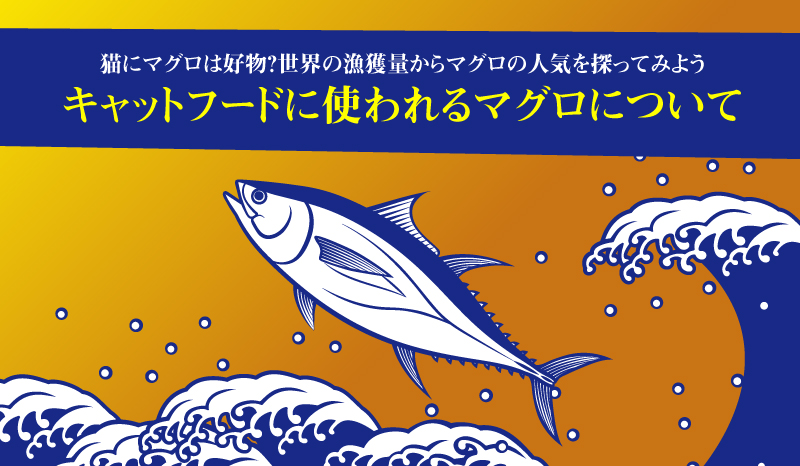 キャットフードに使われるマグロについて 猫にマグロは好物 世界の漁獲量からマグロの人気を探ってみよう ペットフード販売士 マッサンのキャットフードの学校