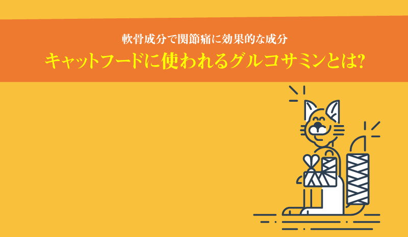 キャットフードに使われるグルコサミンとは 軟骨成分で関節痛に効果的な成分 臨床試験も紹介 ペットフード販売士 マッサンのキャットフードの学校