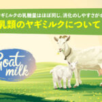 乳類キャットフードのヤギミルクについて。牛乳とヤギミルクの乳糖量はほぼ同じ。消化のしやすさがポイント