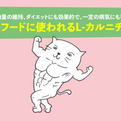 l-carnitine 効果 キャットフードに使われるL-カルニチンとは？筋肉量の維持、ダイエットにも効果 的で、一定の病気にも有効なアミノ酸の類縁体｜ペットフード販売士マッサンのペットフードの学校
