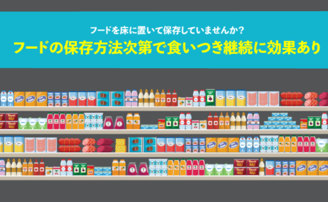 キャットフードの保存方法次第で食いつき継続に効果あり！フードを床に置いて保存していませんか？