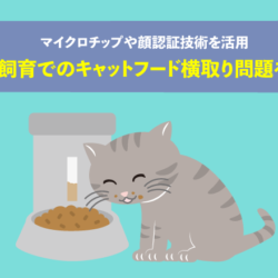 多頭飼育でのキャットフード横取り問題を解決！マイクロチップや顔認証