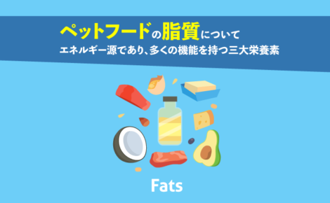 キャットフード・ドッグフードの脂質について。エネルギー源であり、多くの機能を持つ三大栄養素