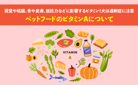 ペットフードのビタミンAについて。視覚や粘膜、骨や皮膚、抵抗力などに影響するビタミン！犬は過剰症に注意