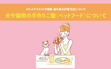 犬や猫用の手作りご飯（ペットフード）について。メリットデメリットや栄養・給与量の計算方法について