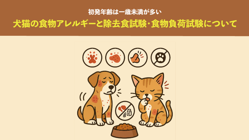 犬猫の食物アレルギーと除去食試験・食物負荷試験について。初発年齢は一歳未満が多い