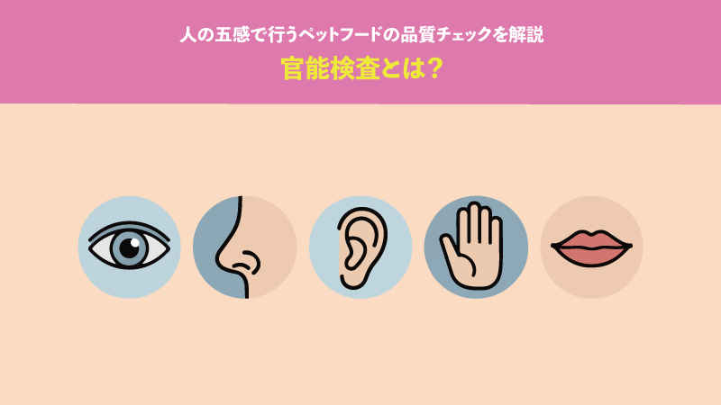 官能検査とは？人の五感で行うペットフードの品質チェックを解説